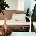 Casa Caponetti Дом отдыха
