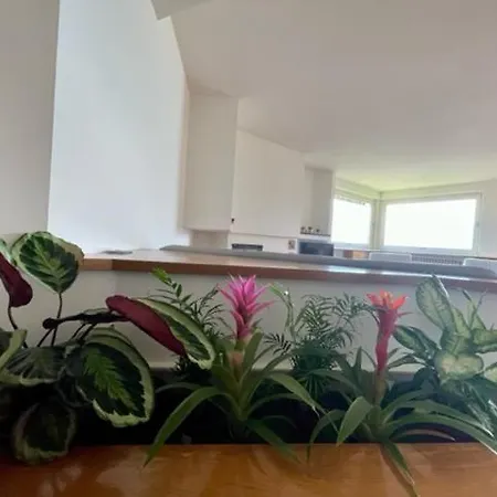 Casa Caponetti Дом отдыха Коста Вольпино